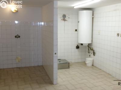 Pronájem skladového prostoru Střelice č. 4