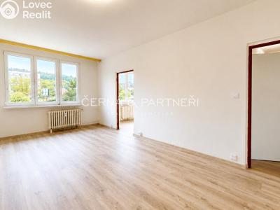 Pronájem bytu 3+KK Litvínov, B. Němcové 807 č. 8