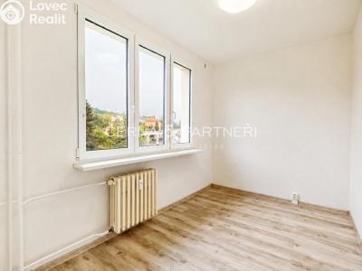 Pronájem bytu 3+KK Litvínov, B. Němcové 807 č. 1