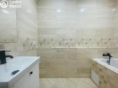 Sale apartment 2+1 Ostrava, Závodní č. 12