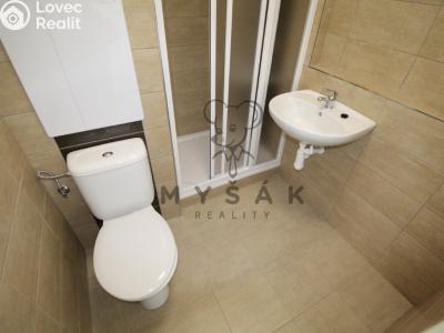 Аренда квартиры 1+KK České Budějovice, U Trojice č. 4