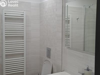 Аренда квартиры 2+KK České Budějovice, Plukovníka Malého č. 8
