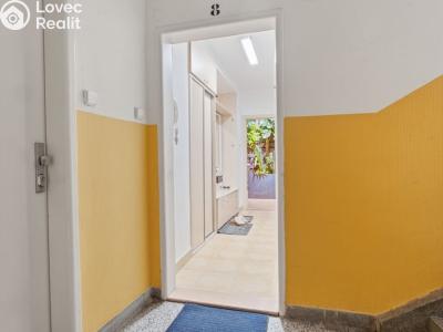 Продажа квартиры 2+1 Brno, Renneská třída č. 13