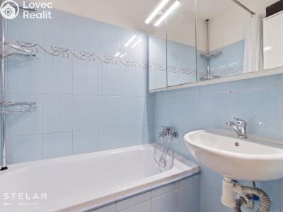 Продажа квартиры 2+1 Brno, Renneská třída č. 14