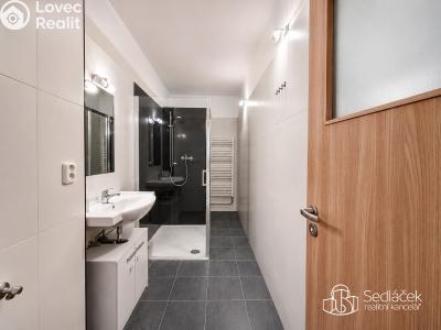 Rent apartment 2+1 Sokolov, nábřeží Petra Bezruče č. 6