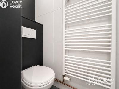 Rent apartment 2+1 Sokolov, nábřeží Petra Bezruče č. 8