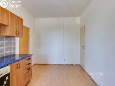 Продажа квартиры 1+1 Praha, Za Novákovou zahradou č. 6