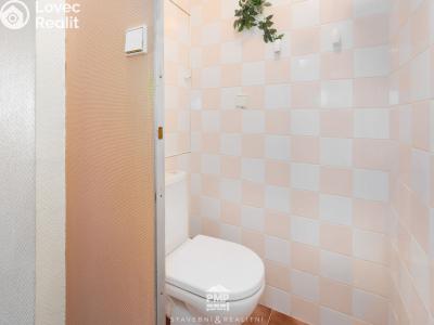 Pronájem bytu 3+1 Velké Opatovice, Hliníky č. 15