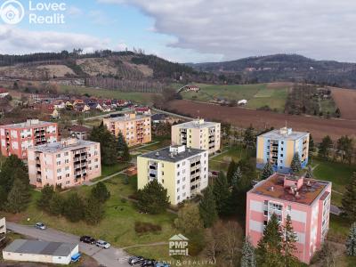 Pronájem bytu 3+1 Velké Opatovice, Hliníky č. 24