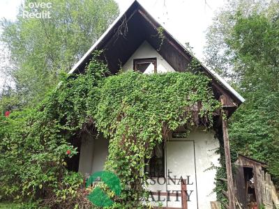 Продажа хижины Petrovice I č. 10