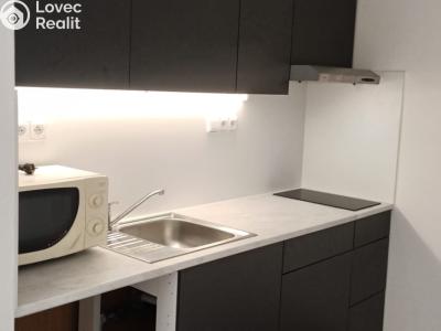 Rent apartment 1+KK Brandýs nad Labem-Stará Boleslav, Zahradnická č. 1