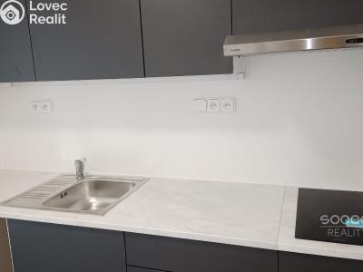 Rent apartment 1+KK Brandýs nad Labem-Stará Boleslav, Zahradnická č. 2