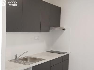 Rent apartment 1+KK Brandýs nad Labem-Stará Boleslav, Zahradnická č. 3