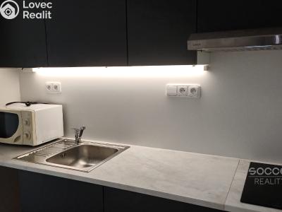 Rent apartment 1+KK Brandýs nad Labem-Stará Boleslav, Zahradnická č. 4