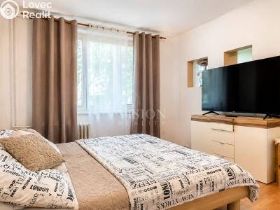 Rent apartment 1+1 Mariánské Lázně, Tepelská č. 2