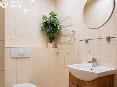 Rent apartment 1+1 Mariánské Lázně, Tepelská č. 7