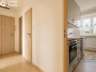 Sale apartment 3+1 Horní Moštěnice, Pod Vinohrady č. 1