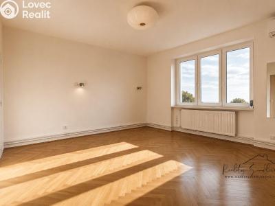 Sale apartment 3+1 Horní Moštěnice, Pod Vinohrady č. 3