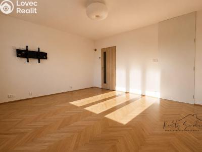 Sale apartment 3+1 Horní Moštěnice, Pod Vinohrady č. 4