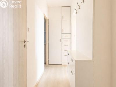 Sale apartment 3+1 Horní Moštěnice, Pod Vinohrady č. 9