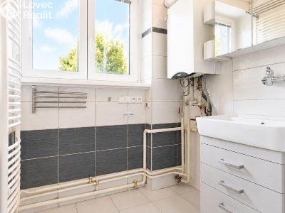 Sale apartment 3+1 Horní Moštěnice, Pod Vinohrady č. 16