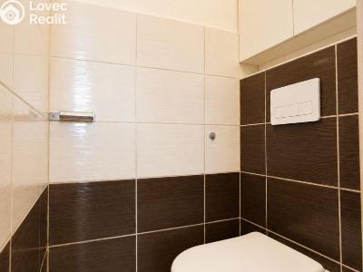 Sale apartment 3+1 Horní Moštěnice, Pod Vinohrady č. 17