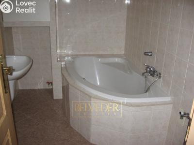 Rent apartment 2+1 Teplice, Doubravská č. 11