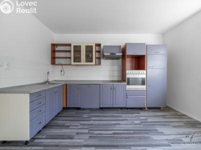 Sale multi-gen house Aš, Kvapilova č. 2