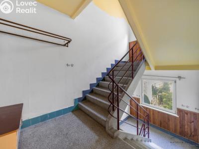 Sale multi-gen house Aš, Kvapilova č. 26