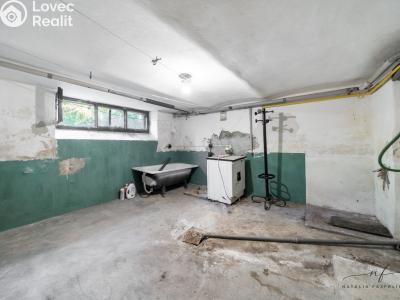 Sale multi-gen house Aš, Kvapilova č. 51