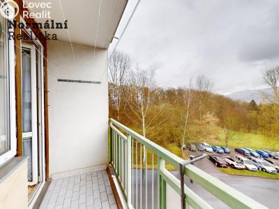 Sale apartment 3+1 Děčín, U Tvrze č. 11