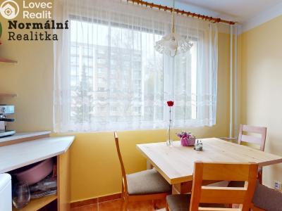 Sale apartment 3+1 Děčín, U Tvrze č. 28