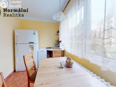 Sale apartment 3+1 Děčín, U Tvrze č. 29