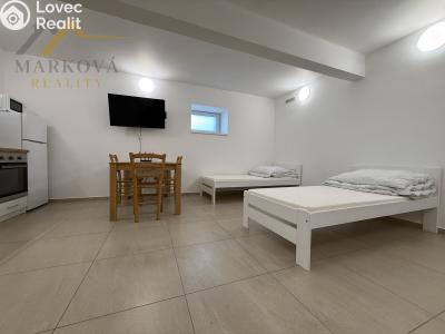 Аренда квартиры 1+KK Týn nad Vltavou, Jiráskova 81 č. 4