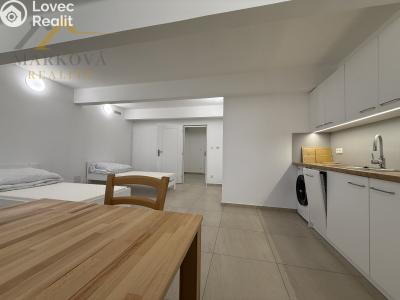 Аренда квартиры 1+KK Týn nad Vltavou, Jiráskova 81 č. 5