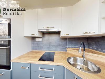 Prodej bytu 1+KK Teplice, Hlávkova č. 1