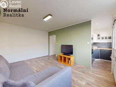 Prodej bytu 1+KK Teplice, Hlávkova č. 14