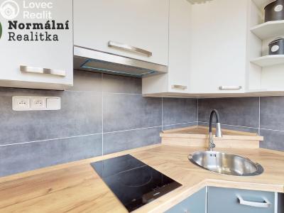 Prodej bytu 1+KK Teplice, Hlávkova č. 20