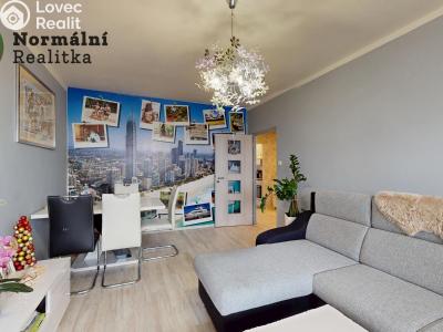 Prodej bytu 2+1 Ústí nad Labem, Železná 380 č. 3