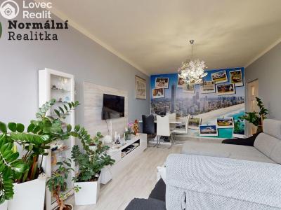 Prodej bytu 2+1 Ústí nad Labem, Železná 380 č. 10