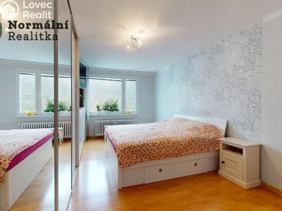 Prodej bytu 2+1 Ústí nad Labem, Železná 380 č. 19