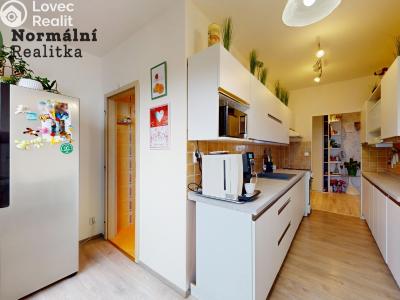 Prodej bytu 2+1 Ústí nad Labem, Železná 380 č. 29