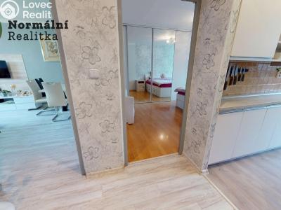 Prodej bytu 2+1 Ústí nad Labem, Železná 380 č. 17