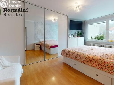 Prodej bytu 2+1 Ústí nad Labem, Železná 380 č. 18