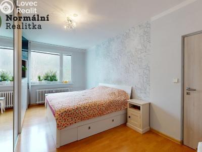 Prodej bytu 2+1 Ústí nad Labem, Železná 380 č. 20