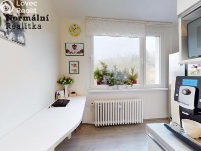 Prodej bytu 2+1 Ústí nad Labem, Železná 380 č. 28