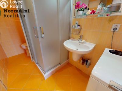 Prodej bytu 2+1 Ústí nad Labem, Železná 380 č. 34