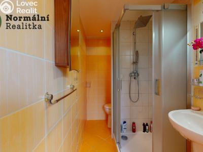 Prodej bytu 2+1 Ústí nad Labem, Železná 380 č. 35