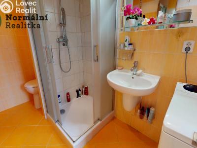 Prodej bytu 2+1 Ústí nad Labem, Železná 380 č. 37