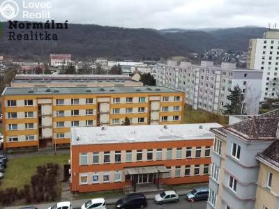 Prodej bytu 2+1 Ústí nad Labem, Železná 380 č. 75